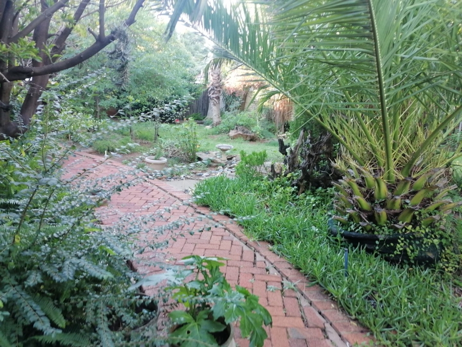 To Let 3 Bedroom Property for Rent in Universitas Free State